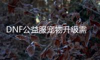 DNF公益服宠物升级需要注意什么？