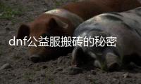 dnf公益服搬砖的秘密与技巧