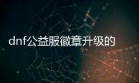 dnf公益服徽章升级的五个技巧
